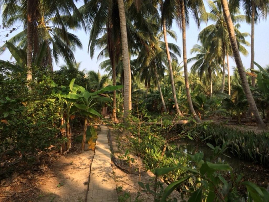 Charming Countryside Homestay Ben Tre ภายนอก รูปภาพ