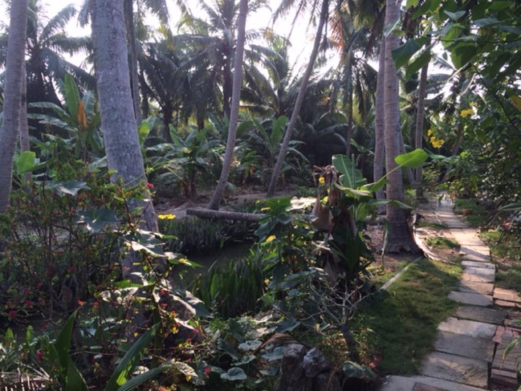 Charming Countryside Homestay Ben Tre ภายนอก รูปภาพ