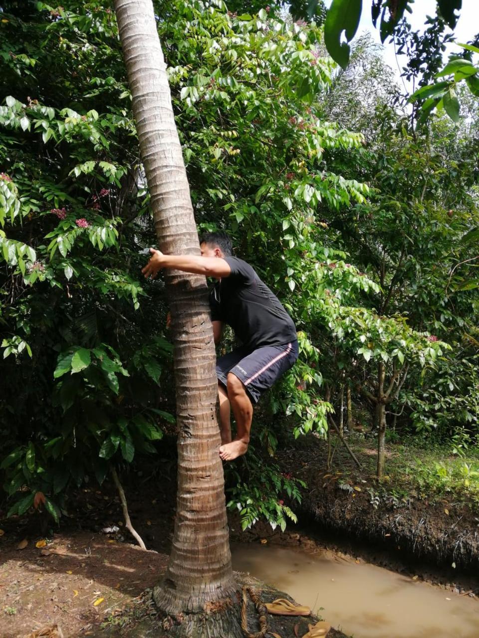 Charming Countryside Homestay Ben Tre ภายนอก รูปภาพ